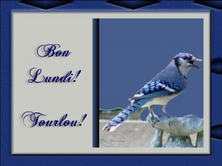 Bonjour tout le monde